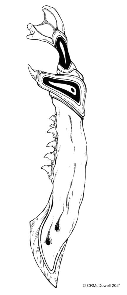 Bone/Tooth Sword: 2021 Ink Challenge Swordtember Day 17